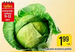 Delikatesy Piotruś Pan Kapusta wczesna polska oferta
