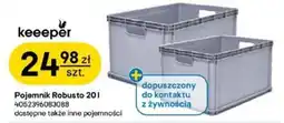 Castorama Pojemnik Robusto oferta