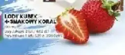 Stokrotka Lody Kubek + Shakowy Koral oferta