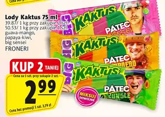 Prim Market Lody Kaktus oferta
