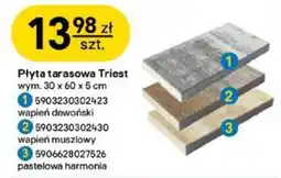 Castorama Płyta tarasowa Triest oferta