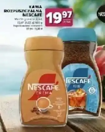 Stokrotka Kawa Rozpuszczalna Nescafe oferta