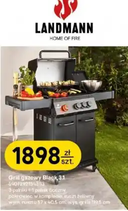 Castorama Grill gazowy Black 3.1 oferta