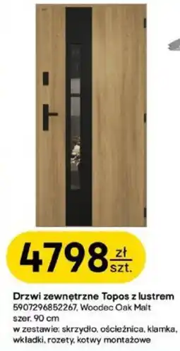 Castorama Drzwi zewnętrzne Topos z lustrem oferta