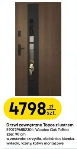 Castorama Drzwi zewnętrzne Topos z lustrem oferta