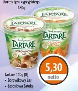 DUO-TES Serek puszysty TARTARE oferta