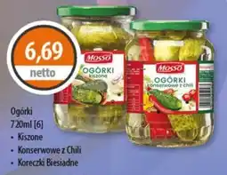 DUO-TES Ogórki Kiszone oferta