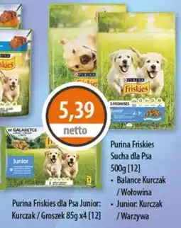 DUO-TES Purina Friskies Sucha dla Psa Junior oferta