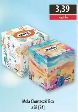 DUO-TES Mola Chusteczki Box oferta
