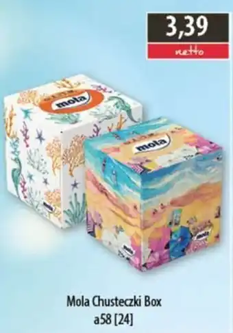 DUO-TES Mola Chusteczki Box oferta