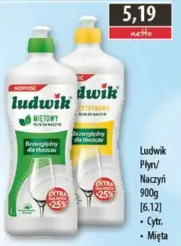 DUO-TES Ludwik Płyn do Naczyń oferta
