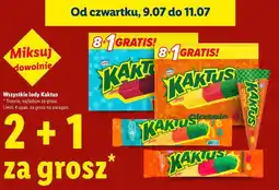 Lidl Wszystkie lody Kaktus oferta