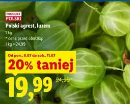 Lidl Polskie agrest, luzem oferta