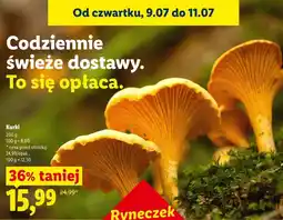 Lidl Ryneczek Lidla Kurki oferta