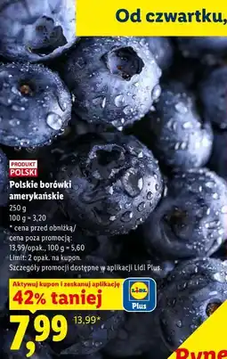 Lidl Polskie borówki amerykańskie oferta