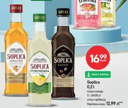 Żabka Soplica oferta