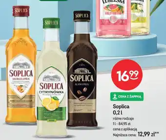 Żabka Soplica oferta