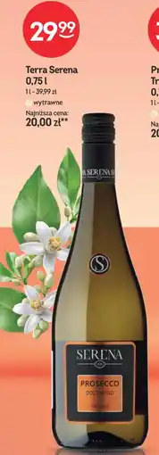 Żabka Terra Serena Prosecco oferta