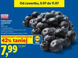 Lidl Polskie borówki amerykańskie oferta