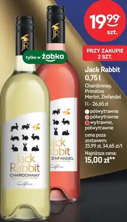 Żabka Jack Rabbit oferta