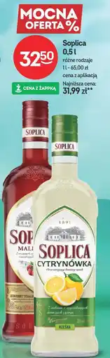 Żabka Soplica różne rodzaje oferta