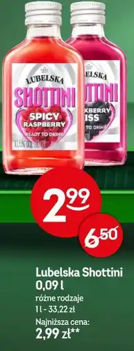 Żabka Lubelska Shottini oferta