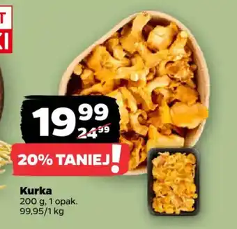 Netto Kurka oferta