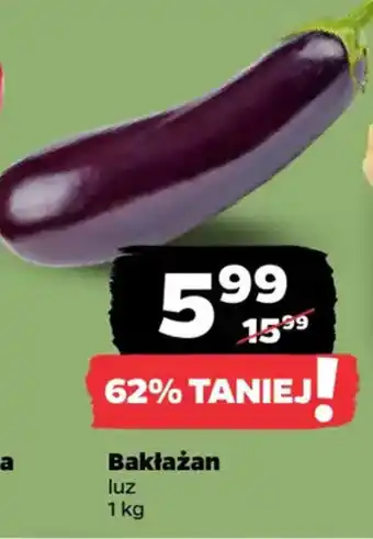 Netto Bakłażan luz oferta