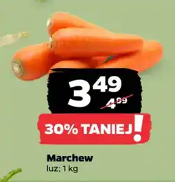 Netto Marchew oferta