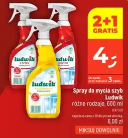 Dealz Spray do mycia szyb Ludwik oferta