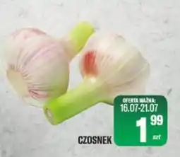 TomiMarkt Czosnek oferta