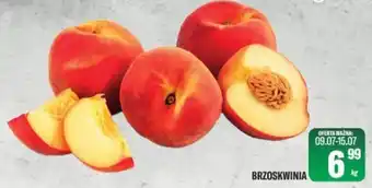 TomiMarkt Brzoskwinia oferta