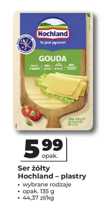 Odido Ser żółty Hochland – plastry oferta