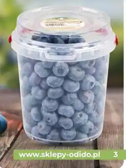 Odido Błyskawicznie oferta
