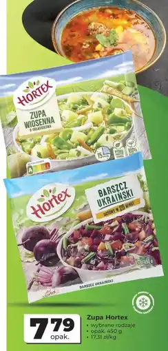 Odido Zupa Wiosenna Hortex oferta