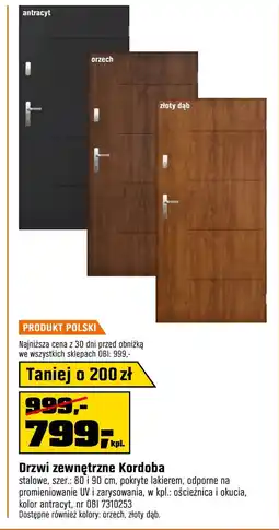 OBI Drzwi zewnętrzne Orzech oferta