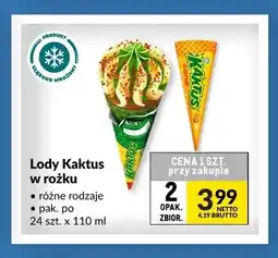 Makro Lody Kaktus w rożku oferta