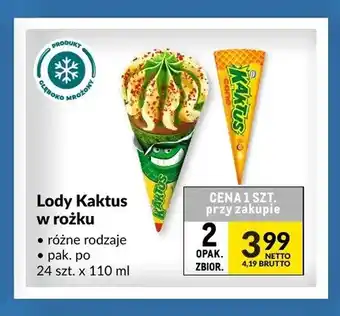 Lody Kaktus w rożku