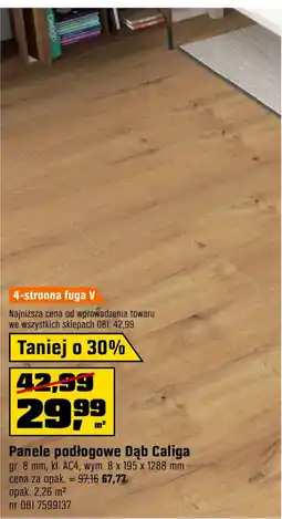 OBI Panele podłogowe Dąb Caliga oferta