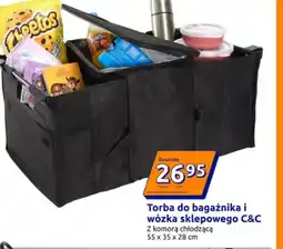Action Organizer do samochodu oferta