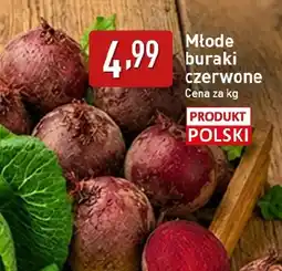 ALDI Buraki młode Polski oferta