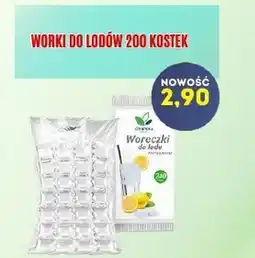 Hale Banacha Woreczki do lodów oferta