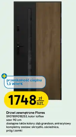 Castorama Drzwi zewnętrzne Toffee oferta