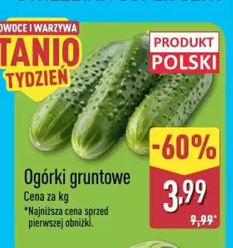 ALDI Ogórki Polski oferta