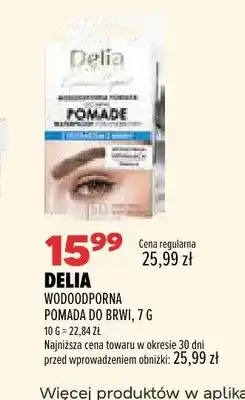 Drogerie Natura Wodoodporna pomada do brwi Delia oferta