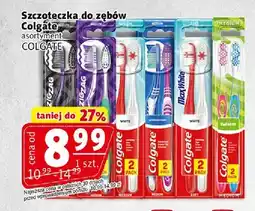 Prim Market Szczoteczka do zębów Colgate oferta