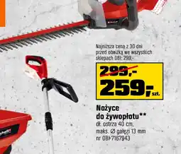 OBI Nożyce do żywopłotu oferta