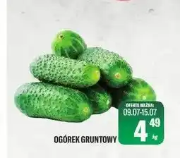 TomiMarkt Ogórek gruntowy oferta