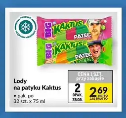 Makro Lody na patyku Kaktus oferta
