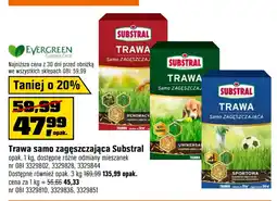 OBI Trawa samo zagęszczająca Substral oferta